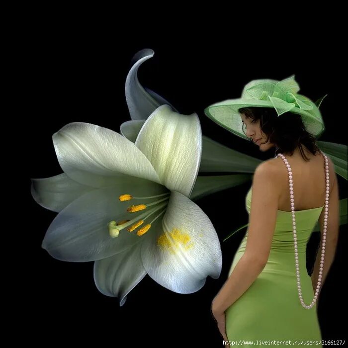 бросал под вечер лилии. лилии ночью. оранжевые лилии в вазе. букет "лилии". лилия трифорд.