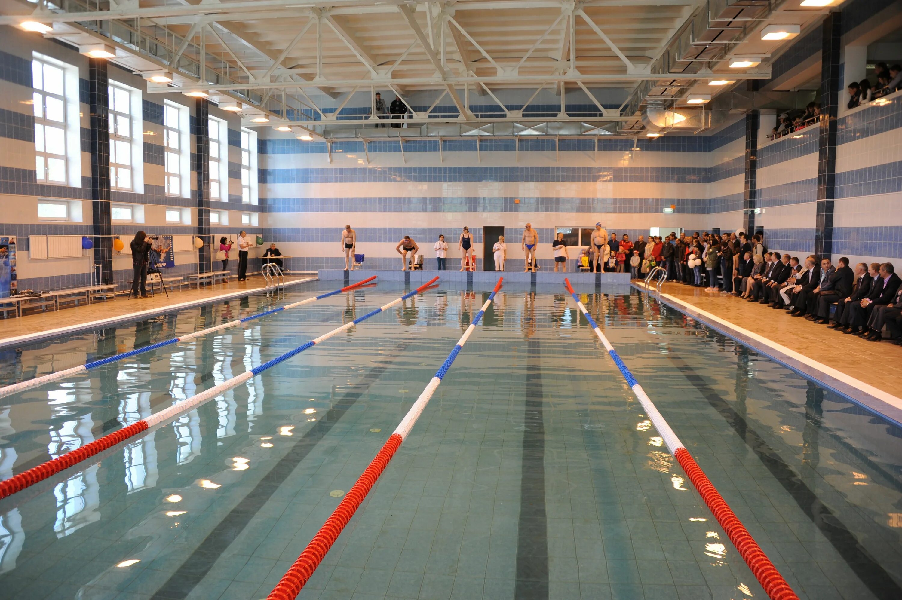 бассейн дельфин чита официальный сайт. бассейн нептун чита. бассейны читы адреса. бассейн северный чита. бассейн дельфин чита тренера.