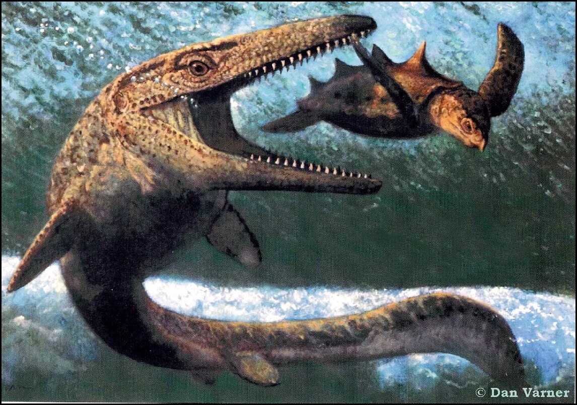 Мозазавр и Варан. Мозазавр окаменелости. Мозазавр Гоффмана. Мезозойская Эра плезиозавры. Динозавр жил в воде