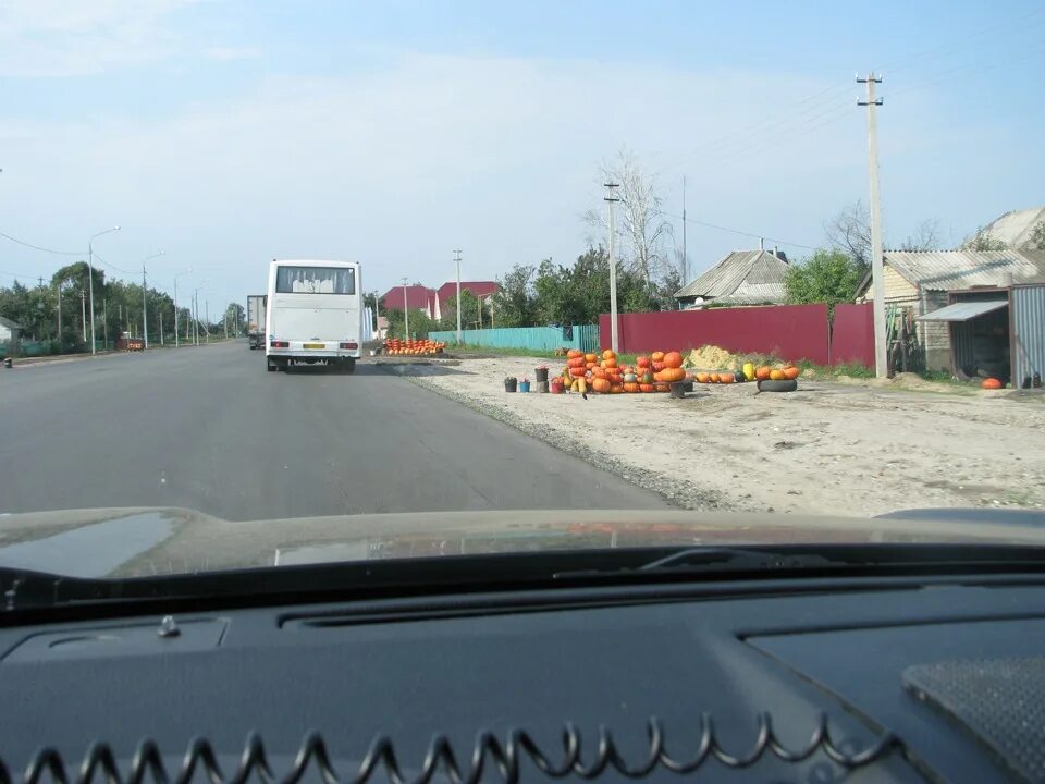 Новые Выселки Мордовия. Состояние дороги м5 Саранск до н. Выселки. Магнит новые Выселки Мордовия.