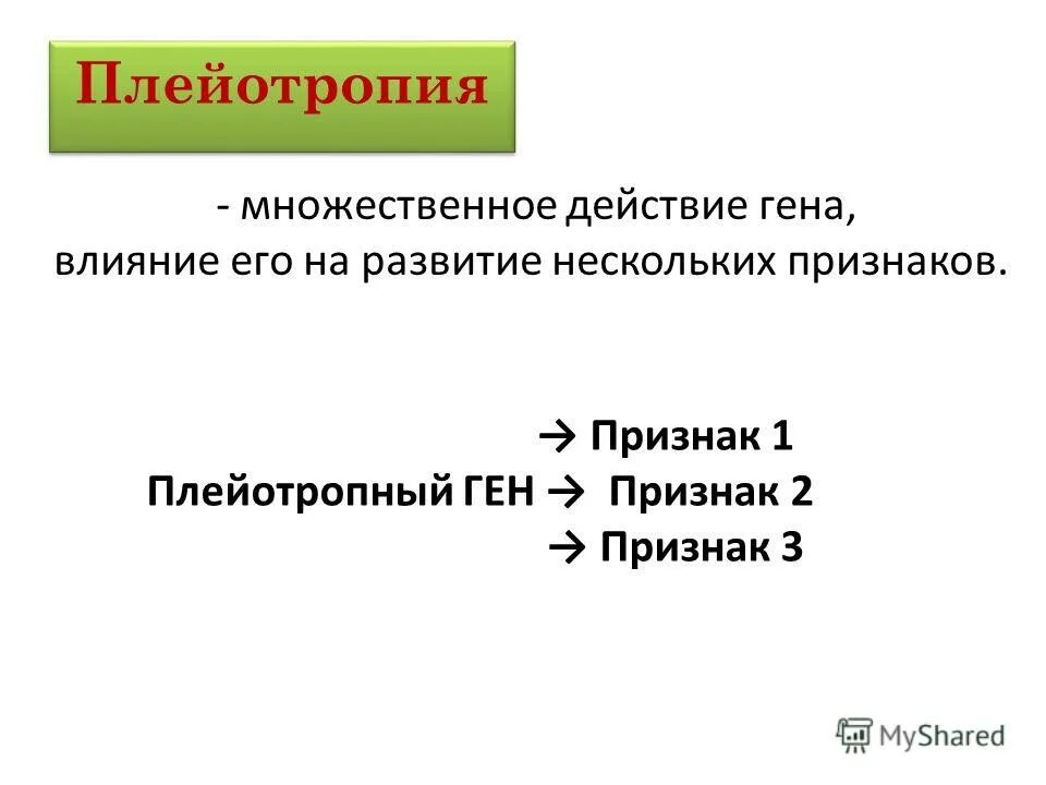 Влияние генов на развитие признаков. Множественное действие гена плейотропия. плейотропное действие генов примеры. множественное действие генов (плейотропия). плейотропия примеры у человека.