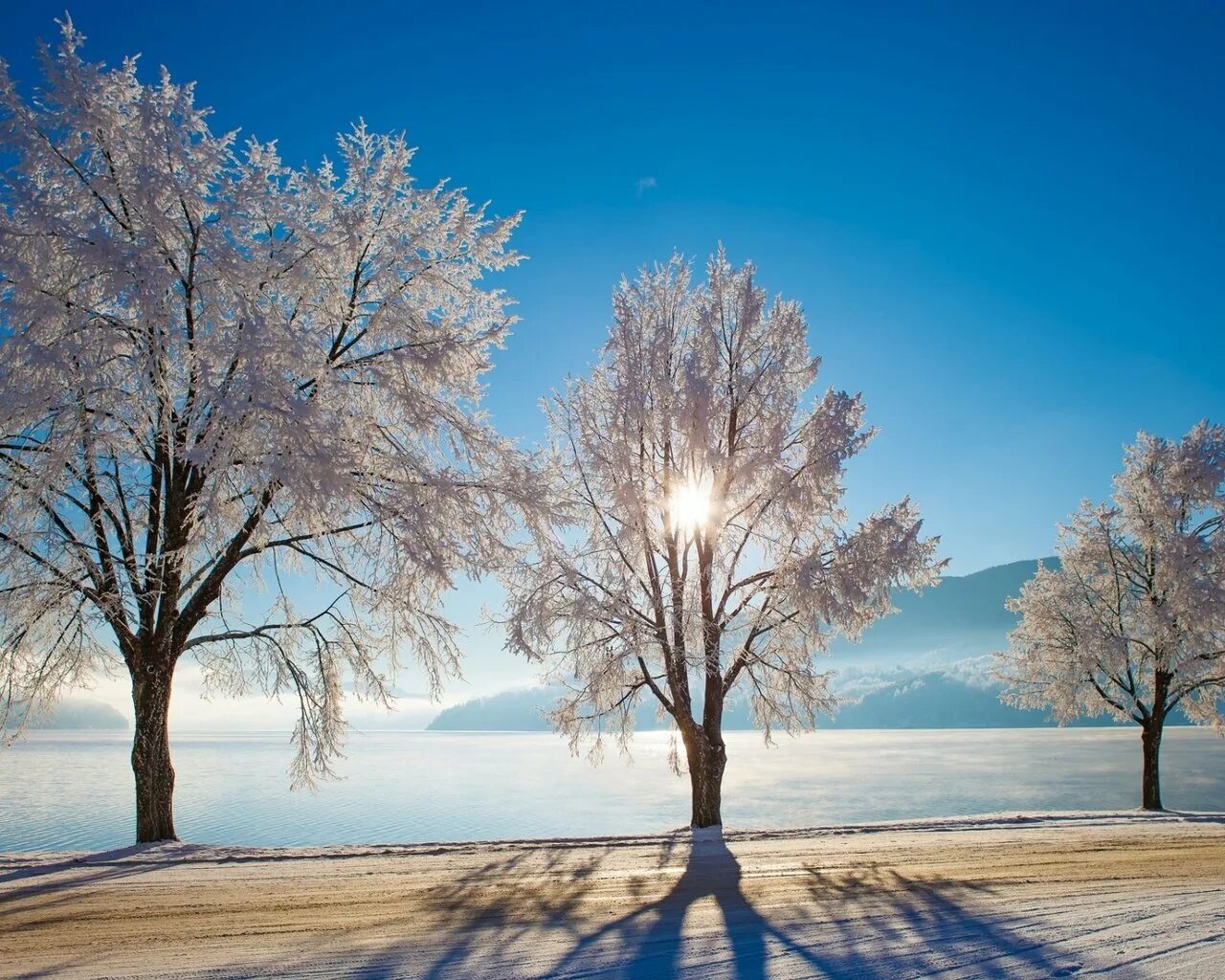 Зимнее погодное. Зима солнце. Зима парк деревья. Зимние деревья с озером. Зима поле.