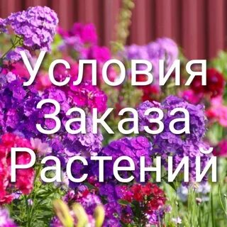 Надпись условия