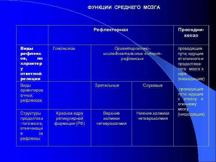 Функции среднего мозга таблица. Рефлекторная функция среднего мозга. Функции функции среднего мозга. Средний мозг рефлексы. Средний мозг функции.