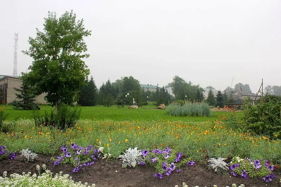 погода каргаполье курганская область на две недели