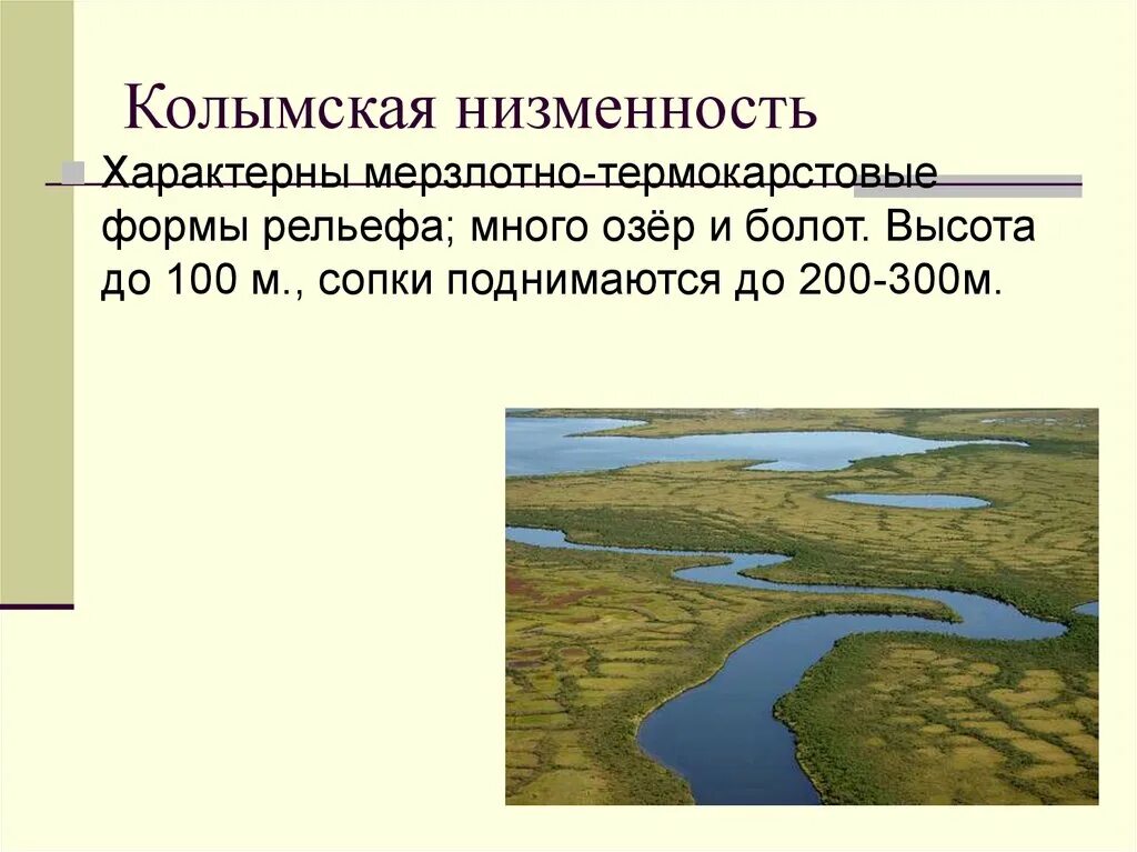 Средние формы равнин. Колымская низменность. Колымская низменность на карте. Кельмская низменность. Колымская низменность форма рельефа.