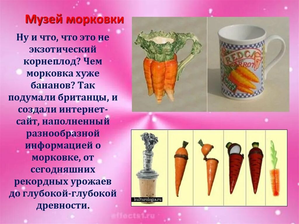 Сообщение об интересных музеях