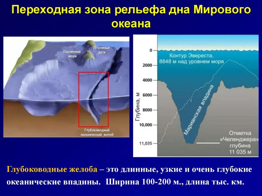 Переходная зона мирового океана. Переходная зона дна океана. Глубокие, длинные и узкие Океанические впадины.. Глубоководные Океанические желоба. Рельеф на дне мирового океана