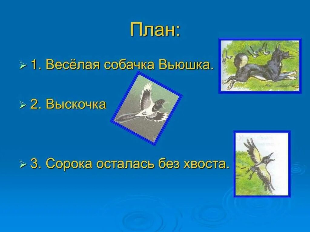 Краткое содержание выскочка 4. План по рассказу м.Пришвина "выскочка".. План по рассказу выскочка 4. План рассказа выскочка Пришвина. План рассказа выскочка Пришвина 4.