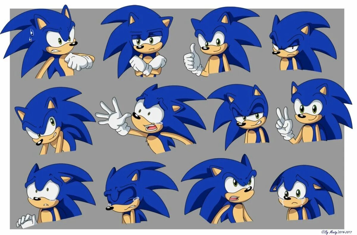 Sonic yuzu. Ёж Соник Икс. Ёж Соник Sonic the Hedgehog. Соник хеджхог. Шедоу ёж Соник x.