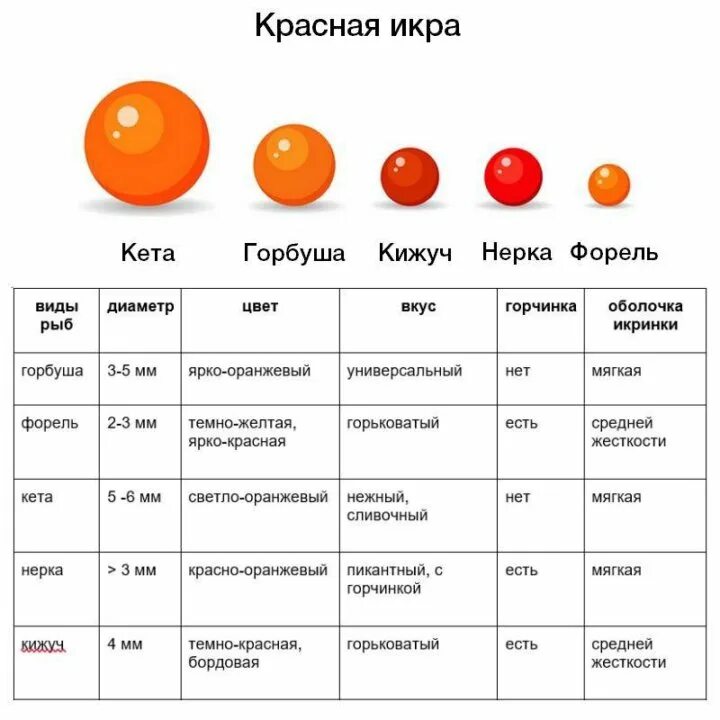 Сколько белка в красной икре. Икра красная разновидности. Виды красной икры. Размер икринок красной икры. Витамины в красной икре.