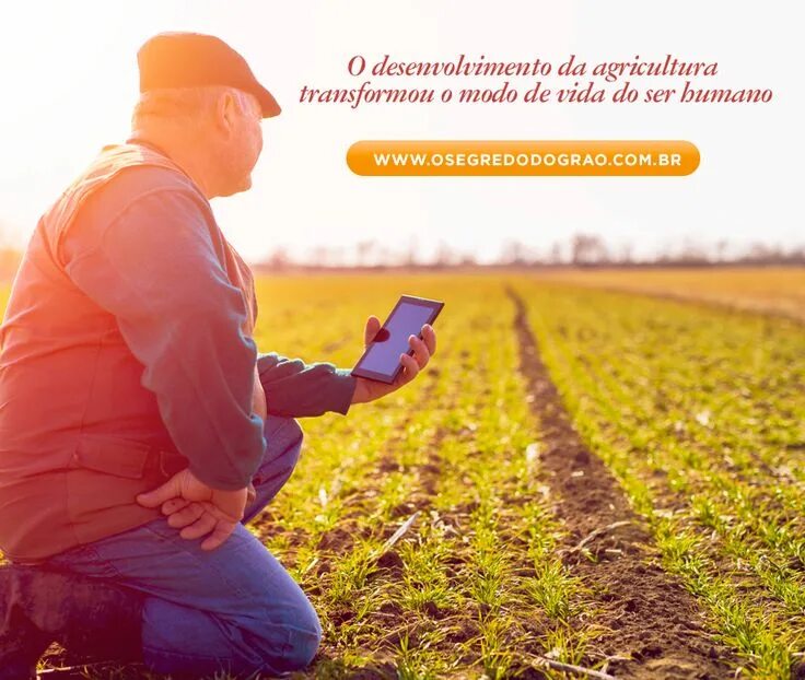 Агроном в поле. Агрономия фон. Агроном в поле картинки. Farmer. Field member