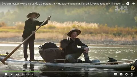 Экзотическая охота