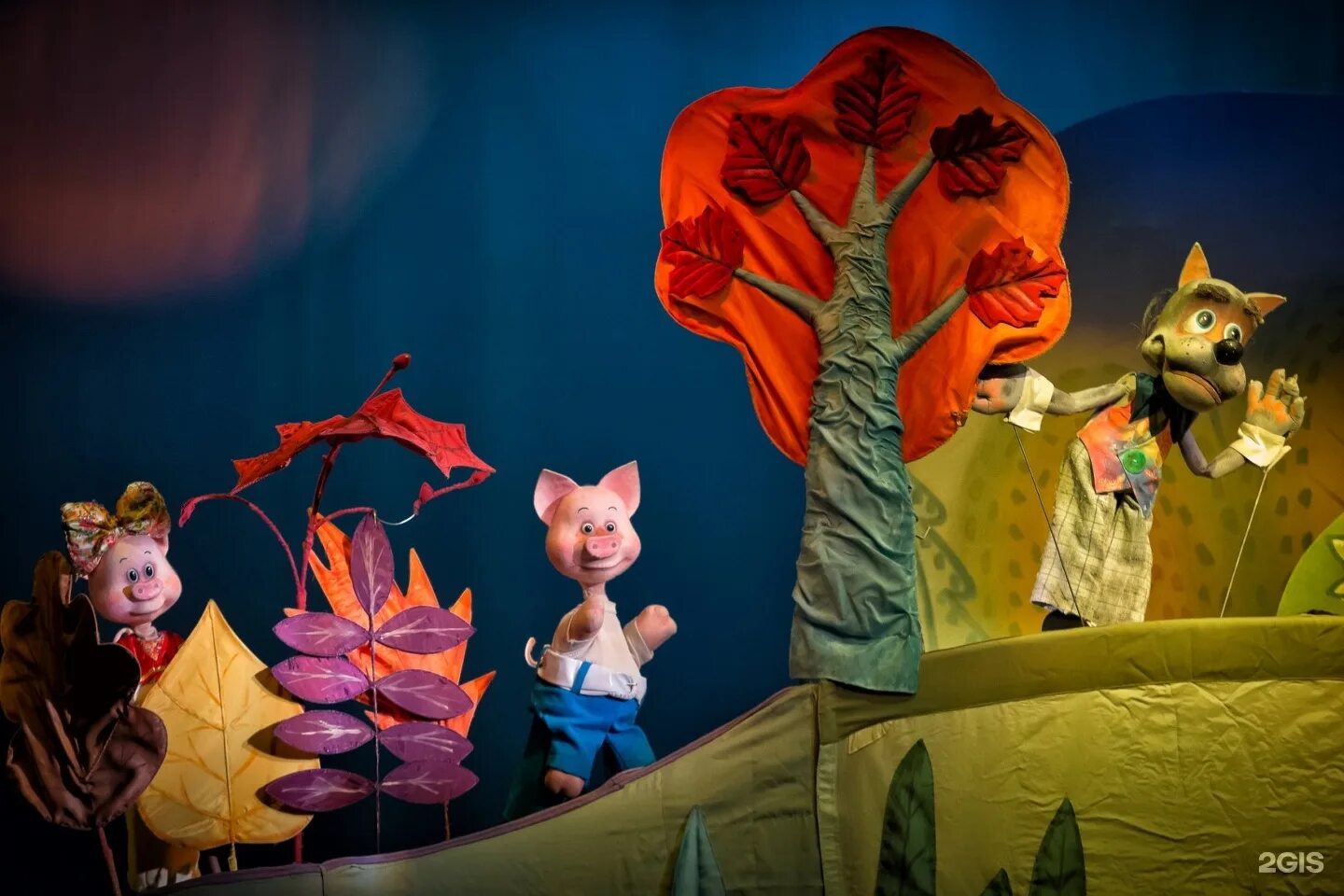 театр кукол тверь сцена. морозко спектакль тверь. театр кукол тверь зал. тверь кукольный театр сайт. кукольный театр тверь музыкальный спектакль.