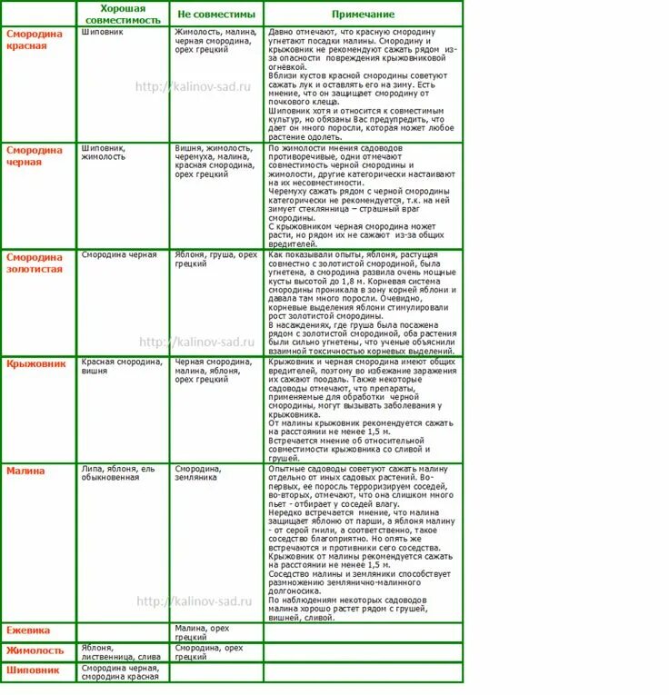 Соседство смородины. Таблица совместимости плодовых деревьев и кустарников в саду таблица. Соседство плодовых деревьев и кустарников таблица. Совместимость плодовых деревьев и кустарников в саду таблица. Таблица совместимости плодово-ягодных деревьев и кустарников.