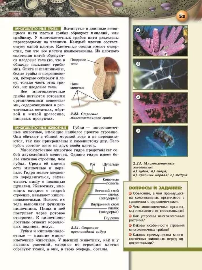 Биология 5 6 класс параграфы читать. Ткани 5- 6 класс биология учебник. Биология 5 класс. Учебник по биологии 6. Биология. 6 Класс. Учебник.