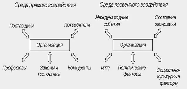 Факторы внешней среды прямого и косвенного. Факторы среды прямого и косвенного воздействия. Внешняя среда организации среда прямого и косвенного воздействия. Факторы внешней среды косвенного воздействия. Влияние факторов прямое косвенное