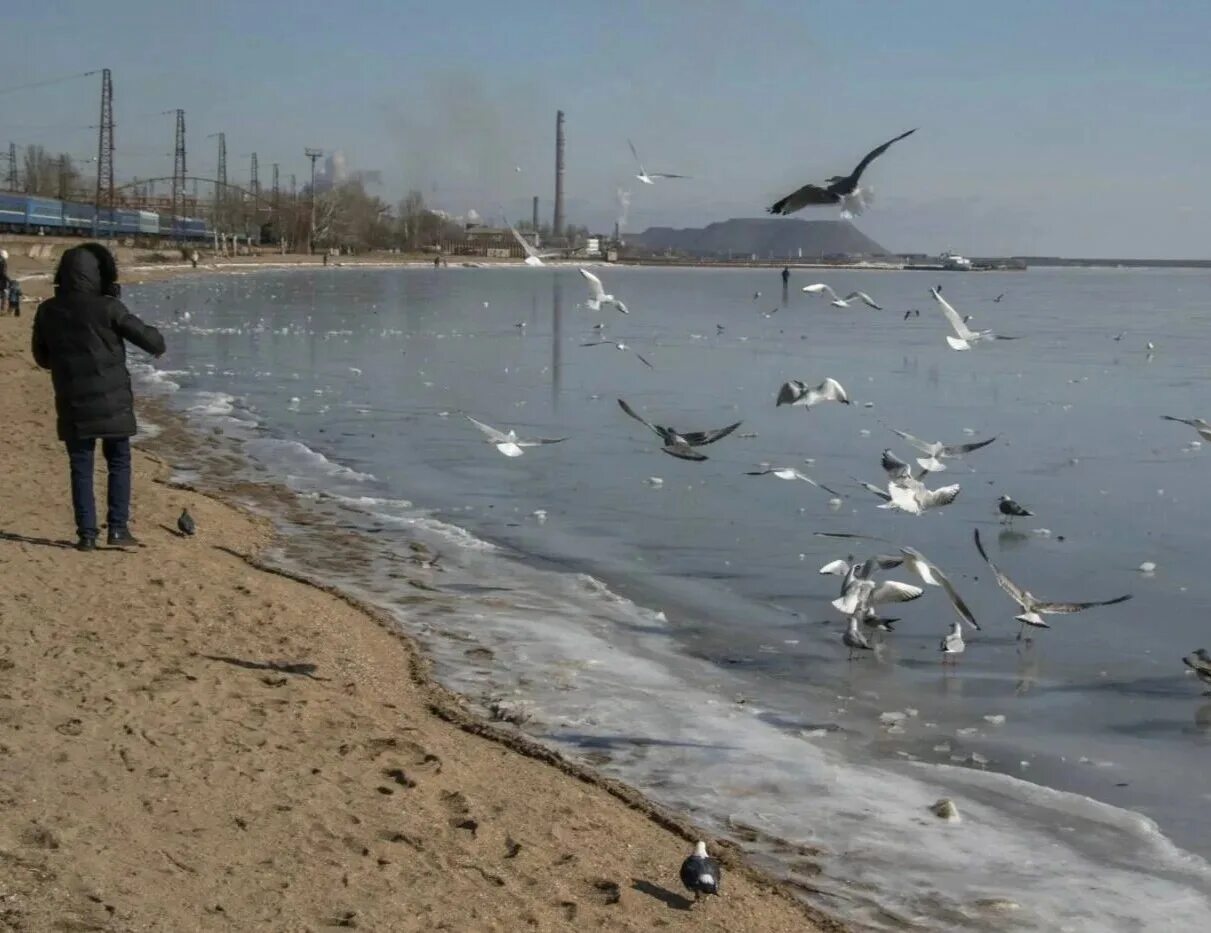 Азовское море Мариуполь. Азовское море замерзло 2022. Мариуполь море Азовское море. Азовское море во льду.