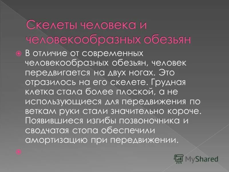 Jnkbxbt xtkjdtrf jn xtkjdtrjj,hfpys[ j,tpmzy. Jnkbxbt xtkjdtrf jn xtkjdtrjj,hfpys[ j,tpmzy. Чем человек отличается от человекообразных обезьян. Отличия человека от человекообразных. Строение человека и человекообразной обезьяны.