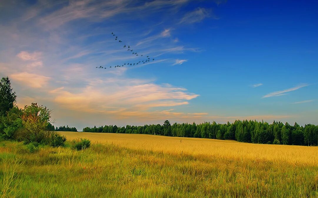 Песню небо голубое поле. Синее небо России. Небо над Россией. Красивое небо в России.