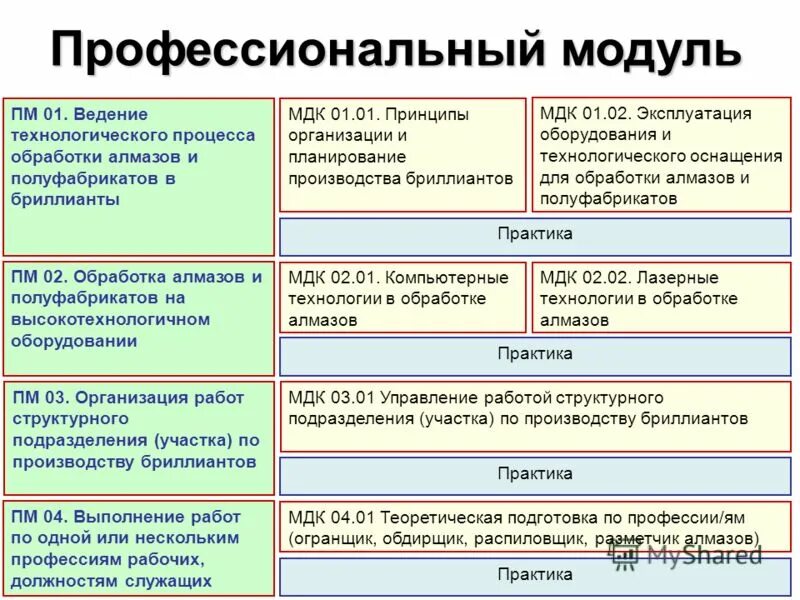 Профессиональный модуль мдк