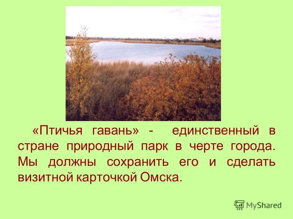 Презентация по окружающему миру 3-4 кл. "Мой любимый край"