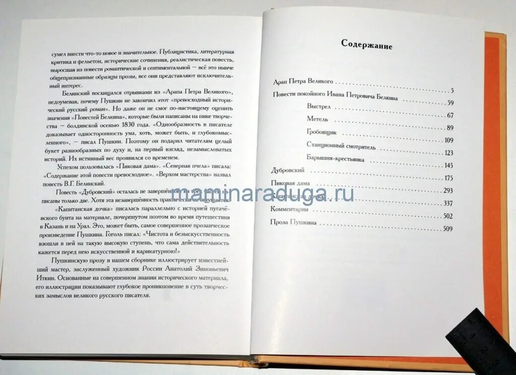 проза пушкина список. произведения пушкина проза. проза книги. произведения пушкина проза. пушкин проза читать.