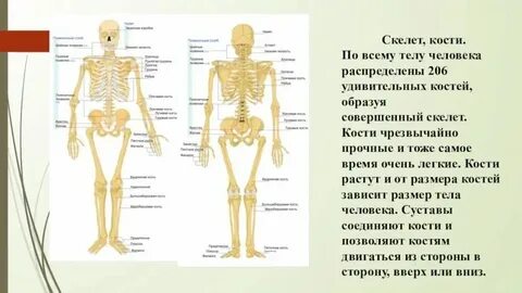 Почему кубики называют костями