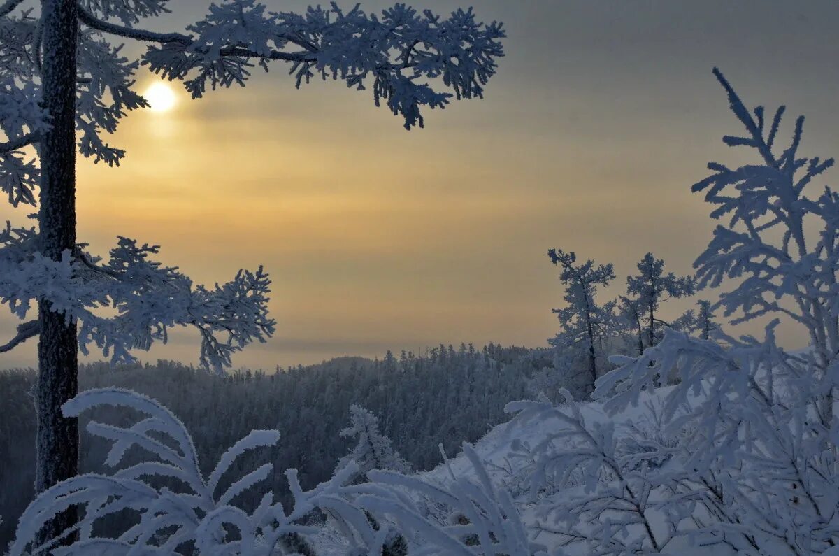 Декабрь картинки. Месяц декабрь природа. Картинки декабрь природа. Зимние картинки декабрь.