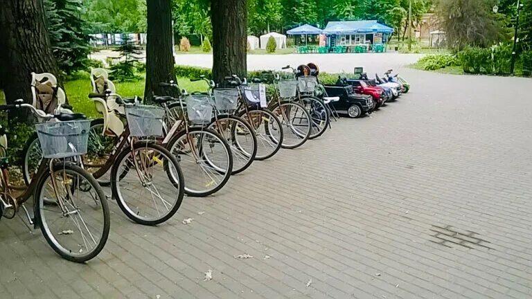 Кристалл прокат велосипедов светлогорск. Прокат велосипедов зеленоградск. Пансионат энергетик светлогорск. Велопрокат мещерский парк. Прокат велосипедов в светлогорске.