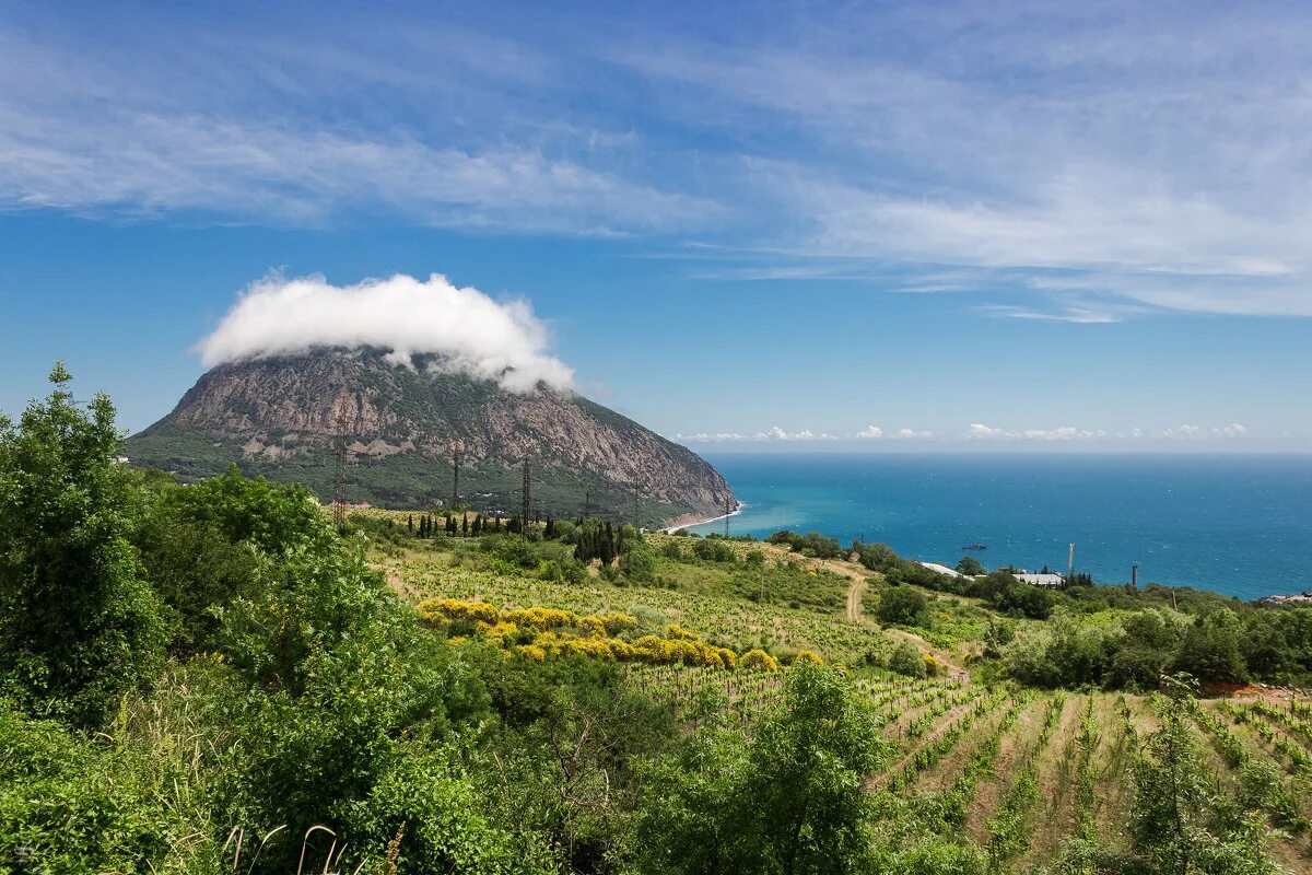 гурзуф медведь гора. лагерь артек гора медведь. медведь гора в армении. гора аю даг алушта. гурзуфский пляж медведь гора.