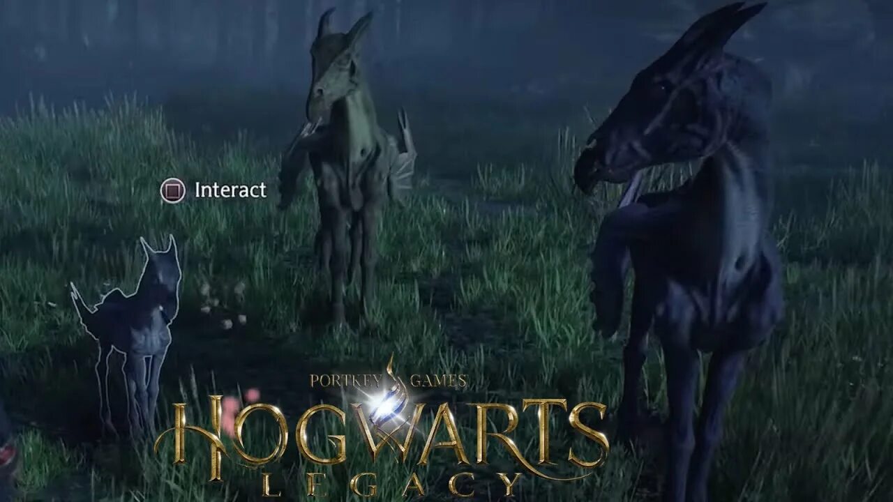 Hogwarts legacy дромарог. Thestral hogwarts legacy. Thestral hogwarts legacy. Келпи лошадь. Хогвартс фестралы.
