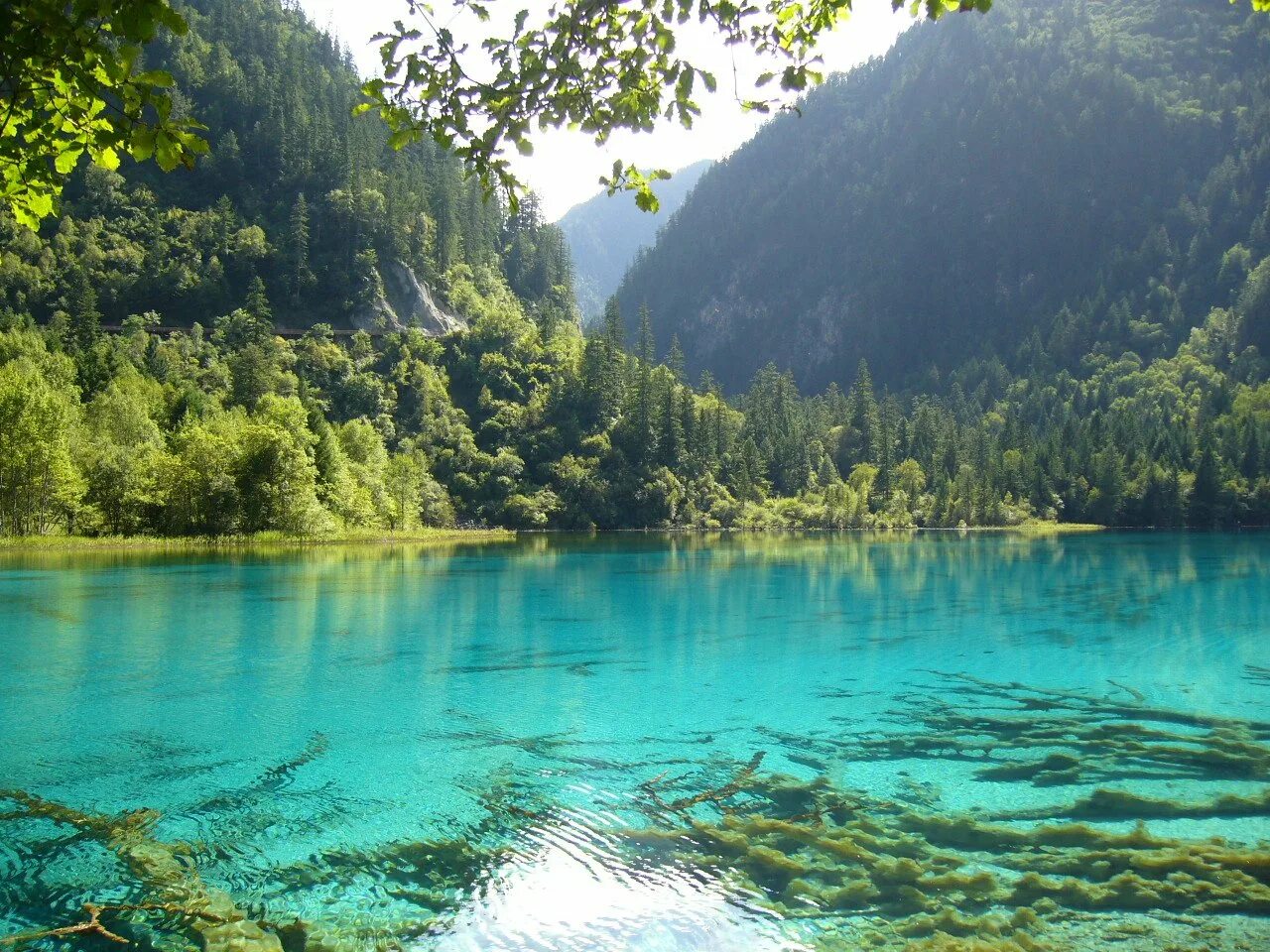Озеро Рица. Чистое озеро. Успокаивающая природа. Самое чистое озеро.