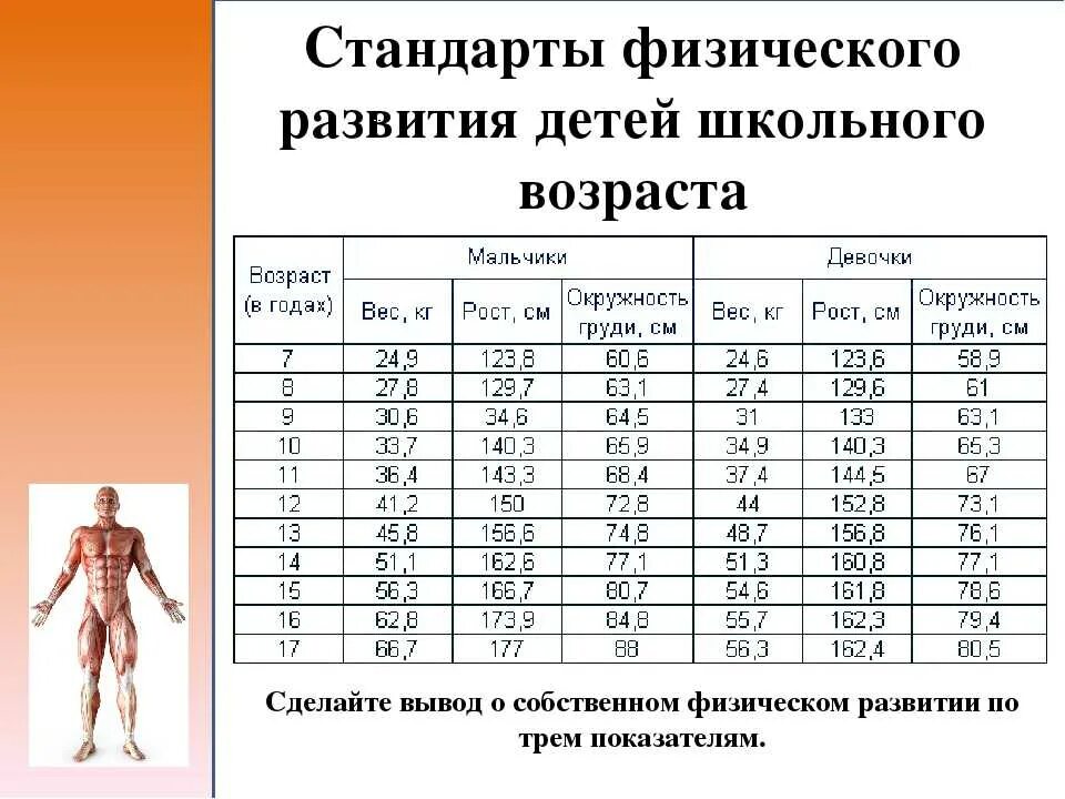 Показатели физического развития детей. Норма показателей физического развития. Стандарты физического развития детей. Показатели физического развития детей по возрастам.