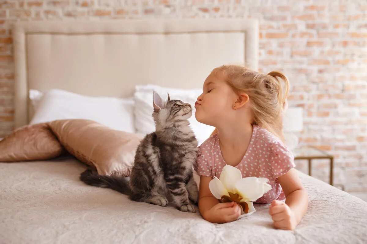 Породы кошек которые любят детей. Кошка для детей. котёнок-ребёнок. коты и дети. девочка с котятами.