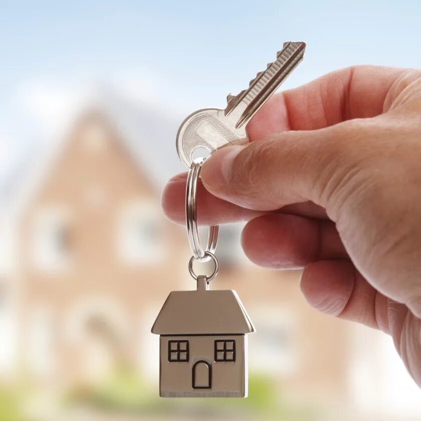 Загородный дом на луге. Коттеджи в воронеже. Сдать дом на год. Домики с баней в подмосковье. Квартира картинка.