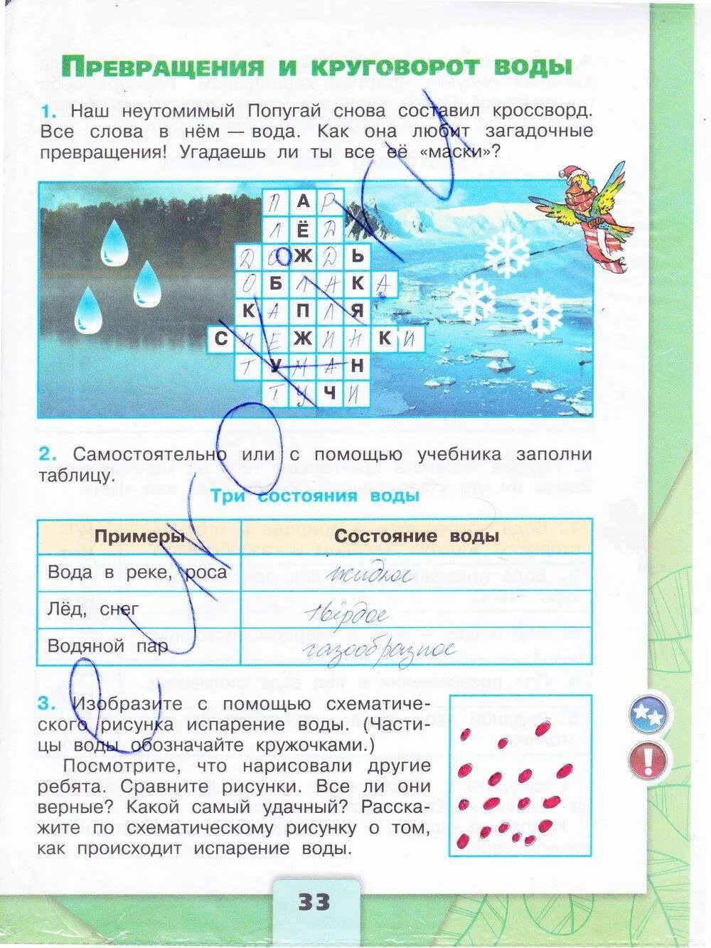 Окр мир 3 кл ответы. Окружающий мир рабочая тетрадь 3 класс 1 часть страница 33. Окружающий мир 3 класс рабочая тетрадь 1 часть Плешаков стр 33. Окружающий мир Плешаков рабочая тетрадь первая часть страница 33.