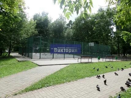 Кожная кучино