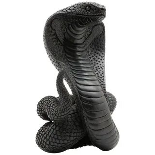 Black cobra