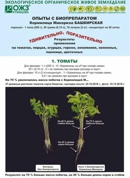 Микориза для чего применяется. Кормилица микориза 1 литр. микориза для томатов. микориза башинком.