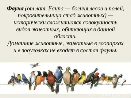 Исторически сложившаяся совокупность животных растений