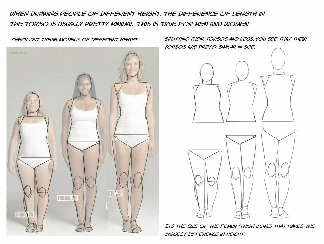 Модель референс. Телосложение девушки рисунок. Свет референс в полный рост. Полные люди референс. Height difference