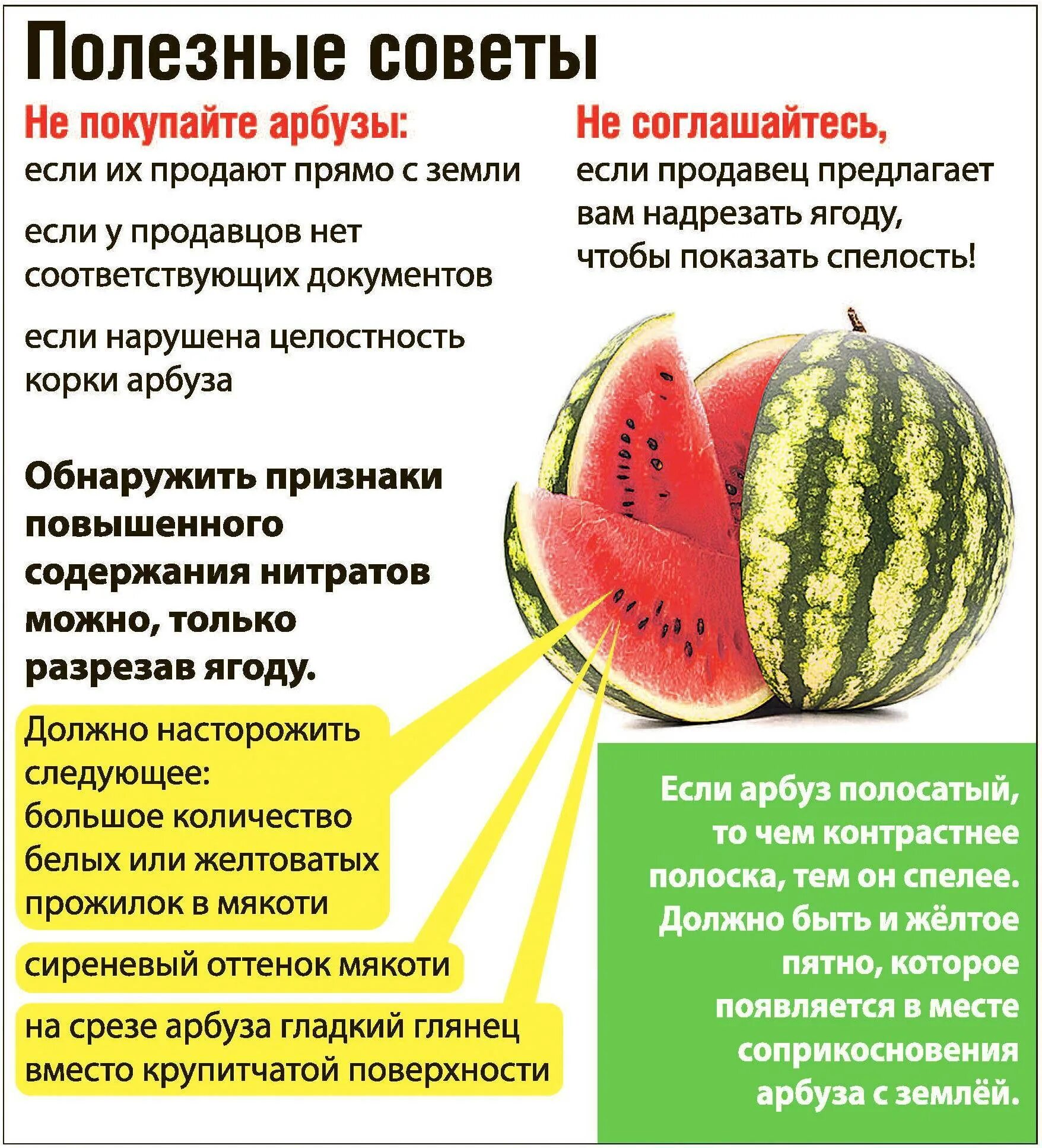 Можно ли арбуз после. Как выбрать спелый Арбуз. Чем полезен Арбуз. Срок хранения арбуза. Как выбрать Арбуз.