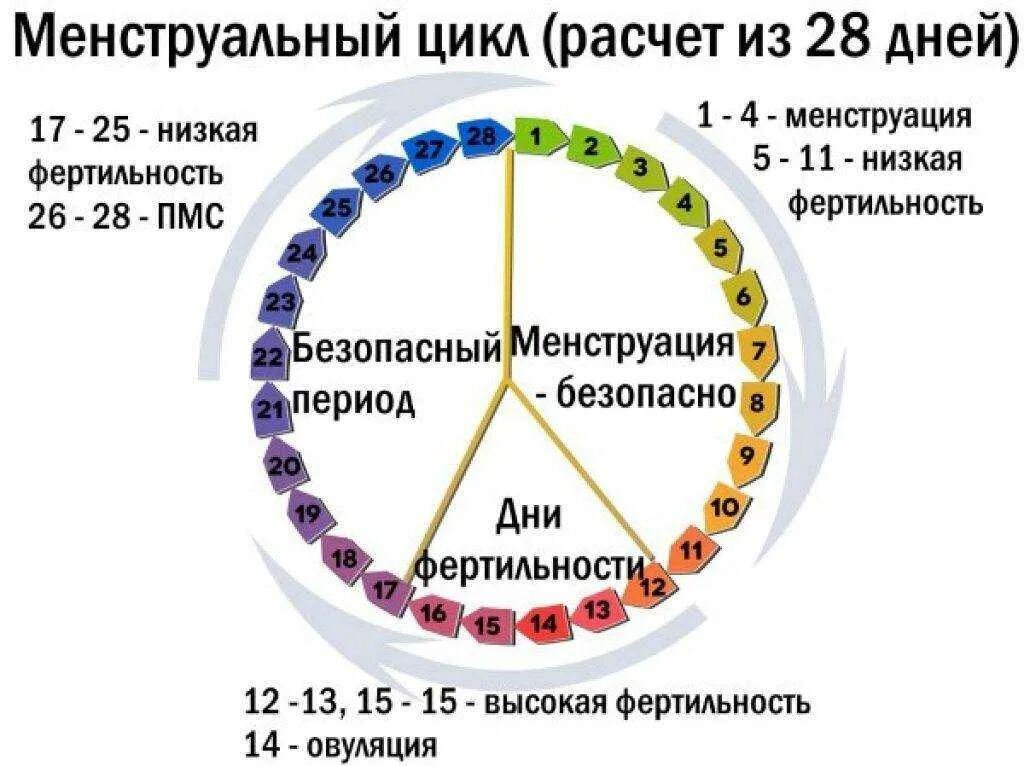 Можно забеременеть с первого раза без предохранения. Цикл менструационного цикла. Как считается цикл месячных. Месячные цикл. Дни овуляции.