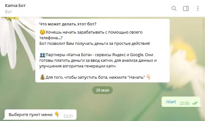 Капча бот в телеграмме. Капча бот в телеграмме