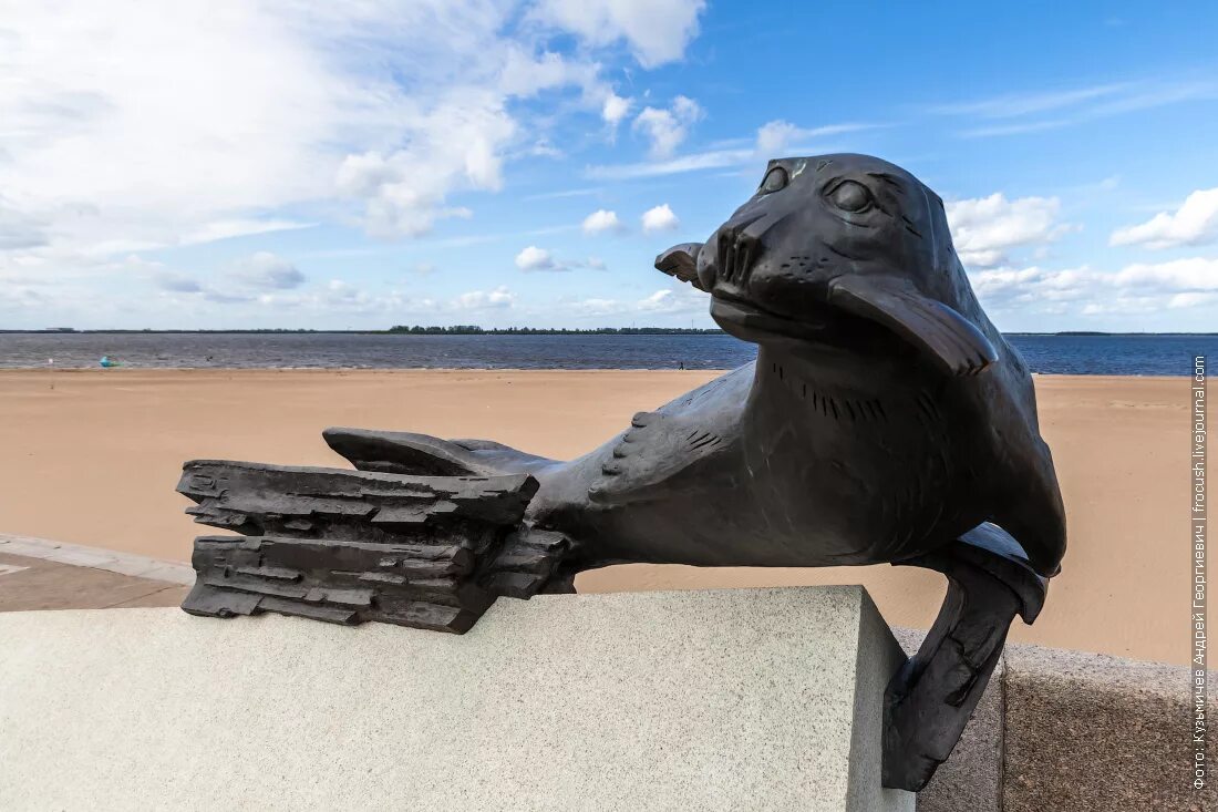 Памятник моржу в архангельске. Памятник моржу в архангельске. Памятник нерпе в архангельске. Тюленю - спасителю жителей архангельска и блокадного ленинграда». Архангельск памятник тюленю спасителю жителей архангельска.