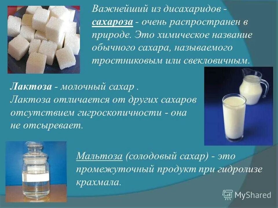 Применение лактозы. Нахождение в природе сахарозы. Лактоза нахождение в природе. Роль в природе дисахаридов. Лактоза дисахарид.