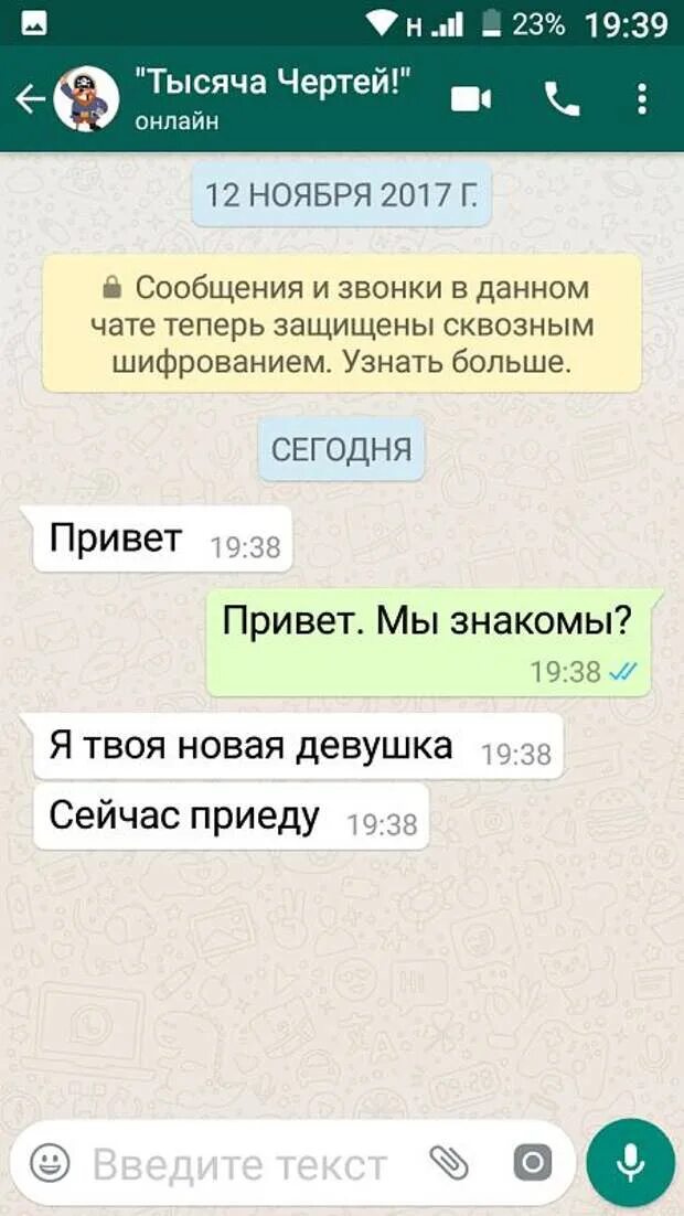 Переписываться вацапе. WHATSAPP переписка. Смешные переписки в ватсапе. Скриншот переписки в ватсапе. Серин переписок в ватсапе.