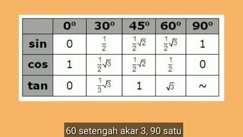 Әлемдегі ең әдемі киска (фото)