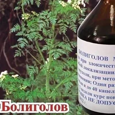 Болиголов отзывы врачей. Настойка болиголова Тищенко. Цвет настойки болиголова. Болиголов по Тищенко.